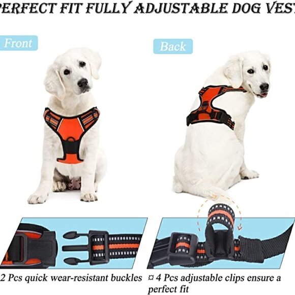 NWT Black And Orange Reflective Adjustable Dog Harness With Leash, Size XS - Picture 1 of 4